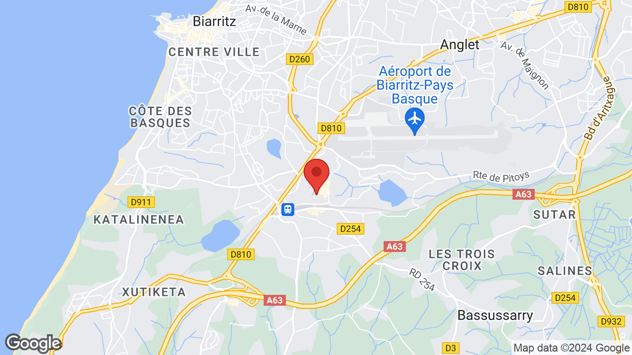 Google map