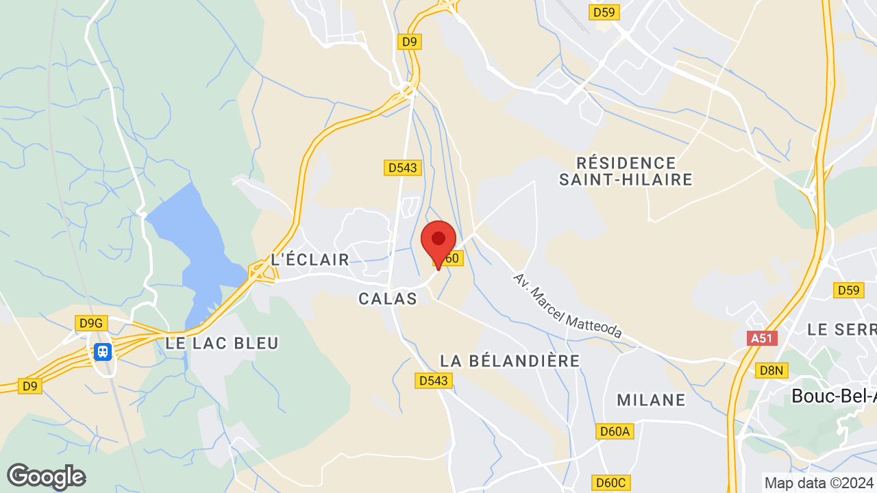 Google map
