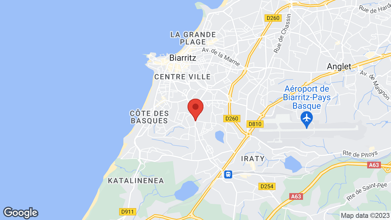 Google map