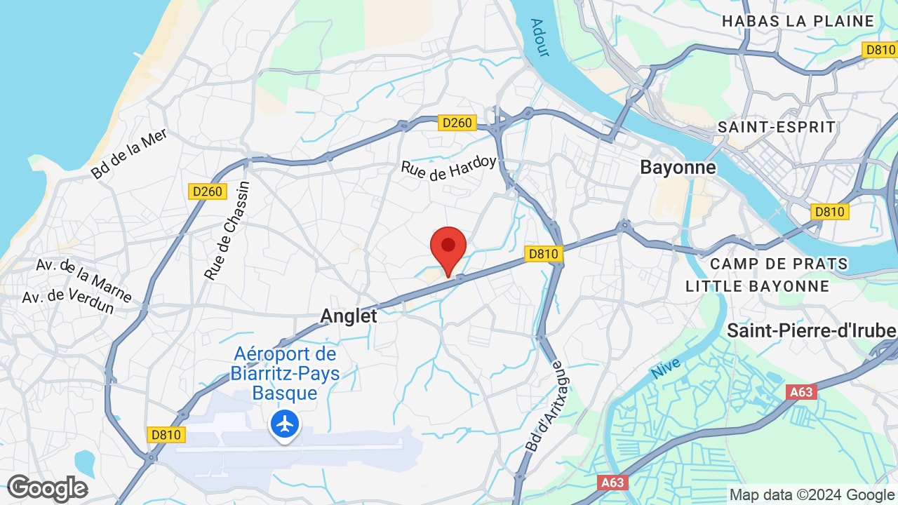Google map
