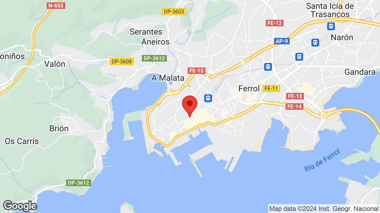 Google map