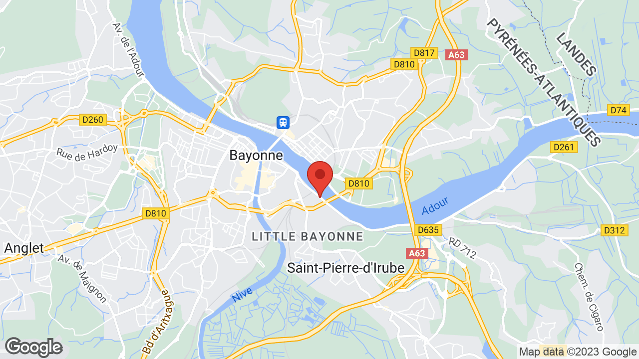 Google map