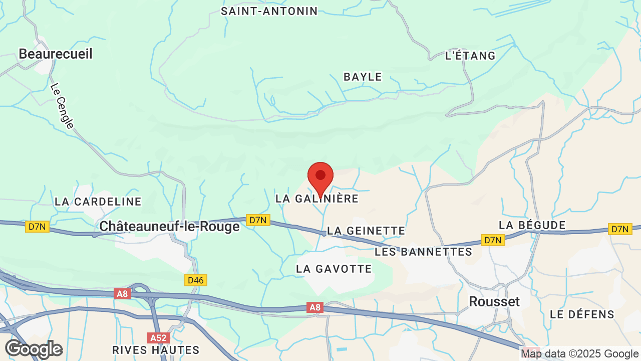 Google map