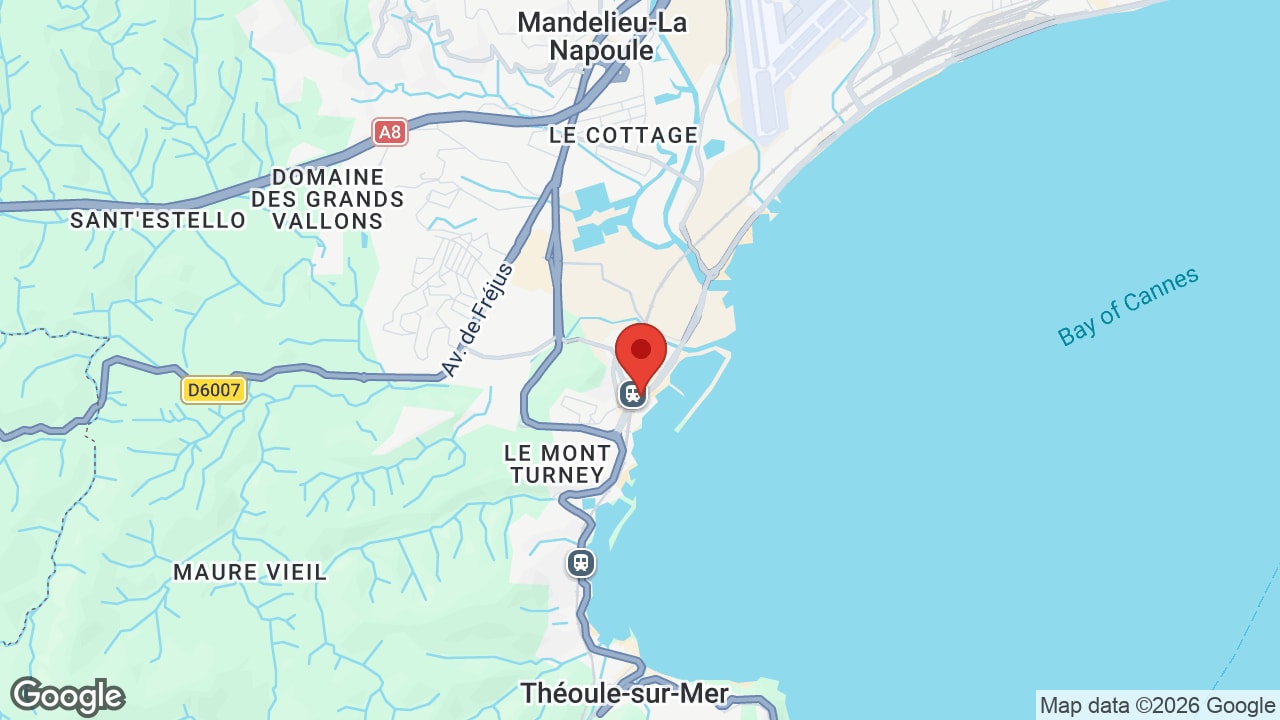 Google map