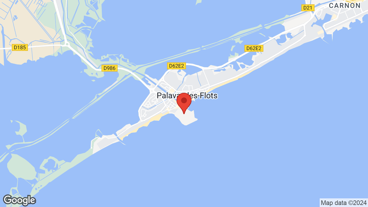 Google map