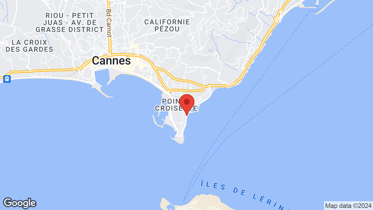 Google map