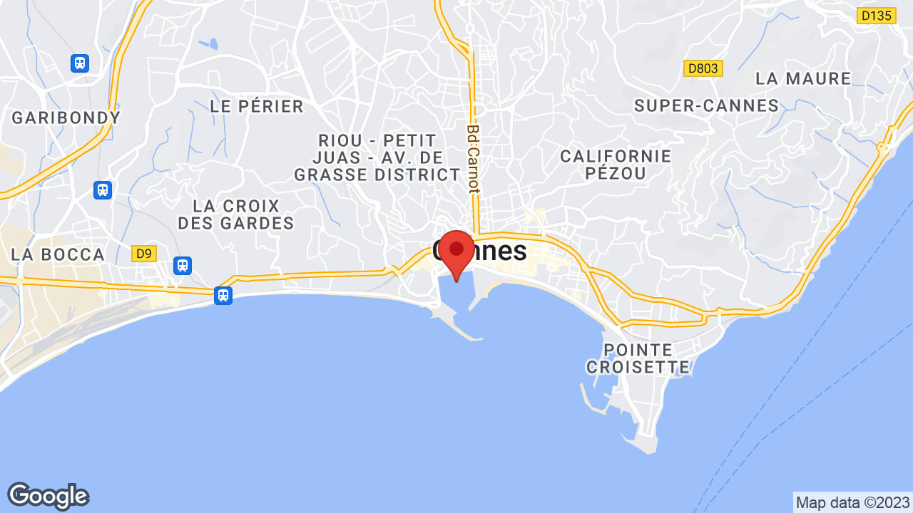 Google map
