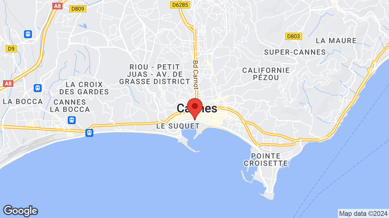 Google map