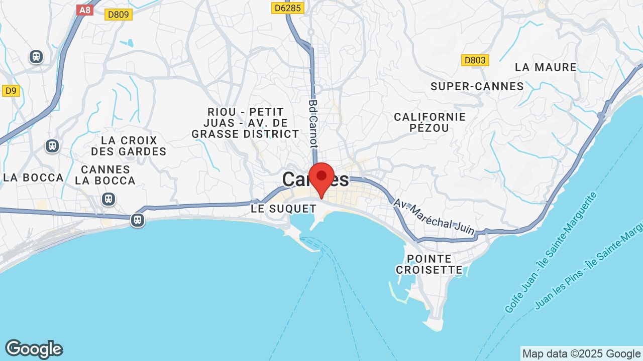 Google map