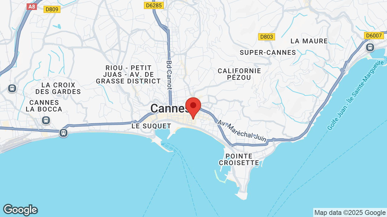 Google map