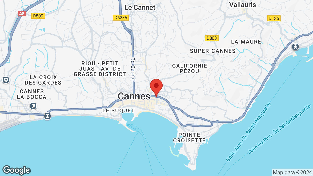 Google map