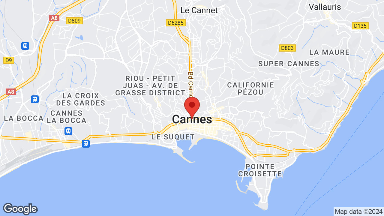 Google map