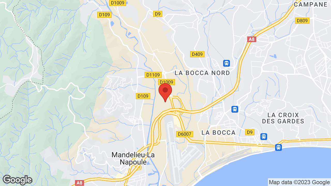 Google map