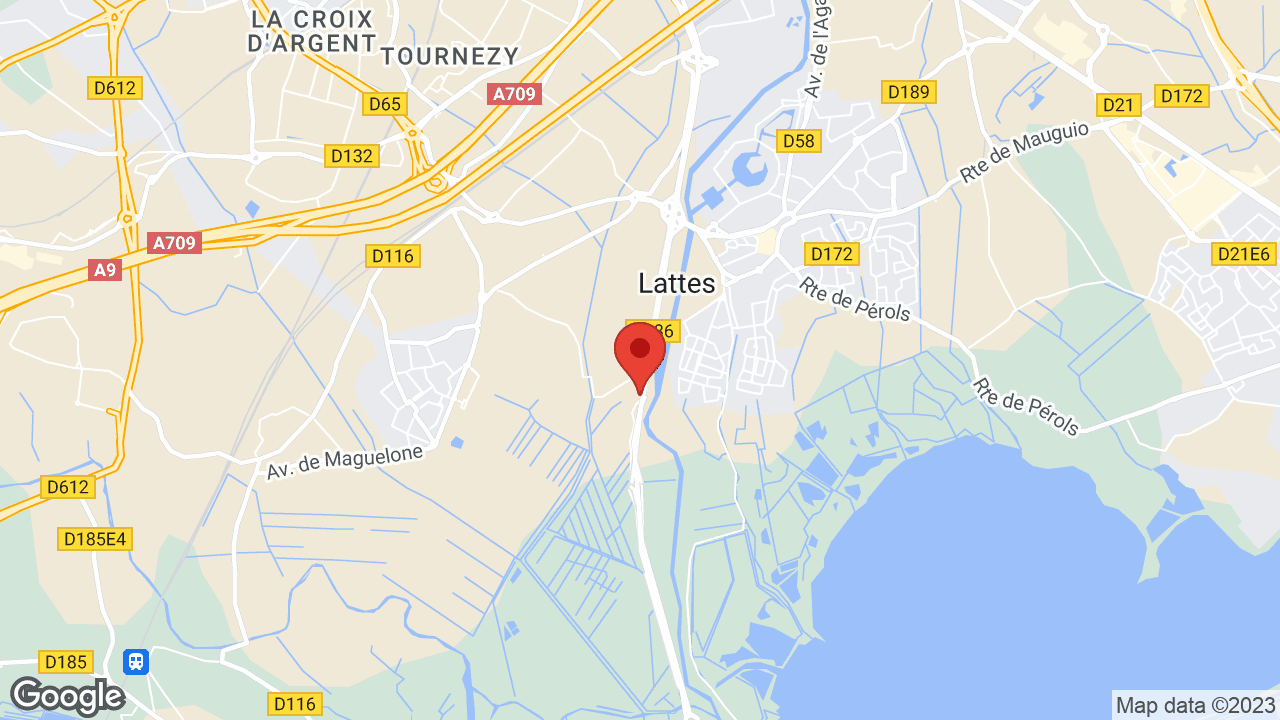 Google map