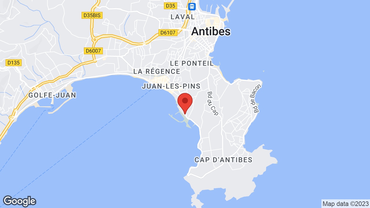 Google map