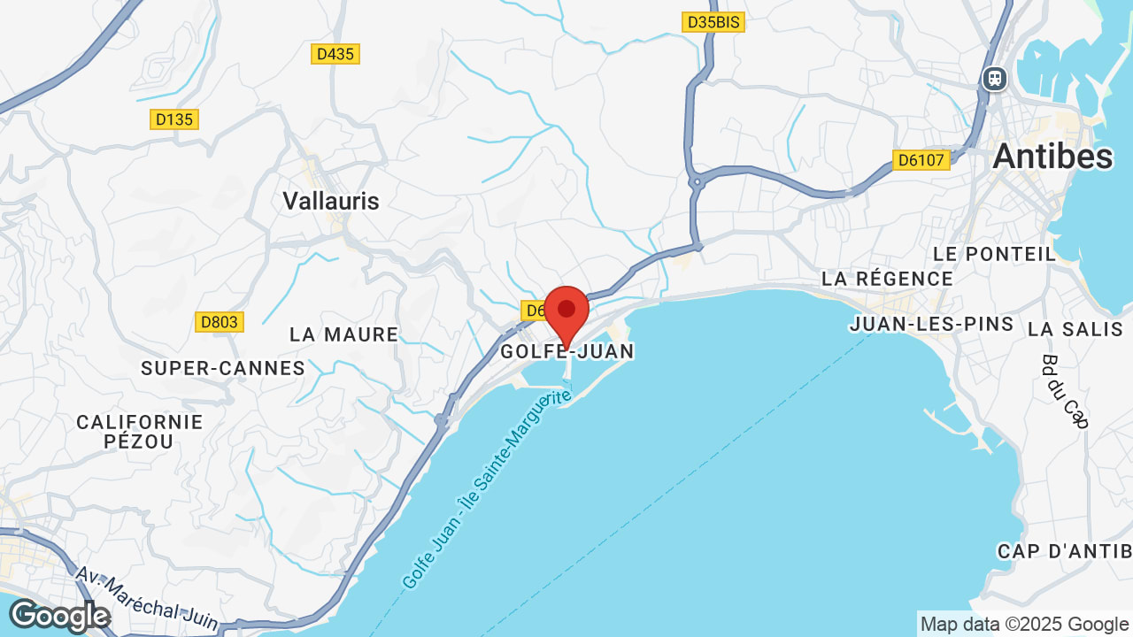 Google map