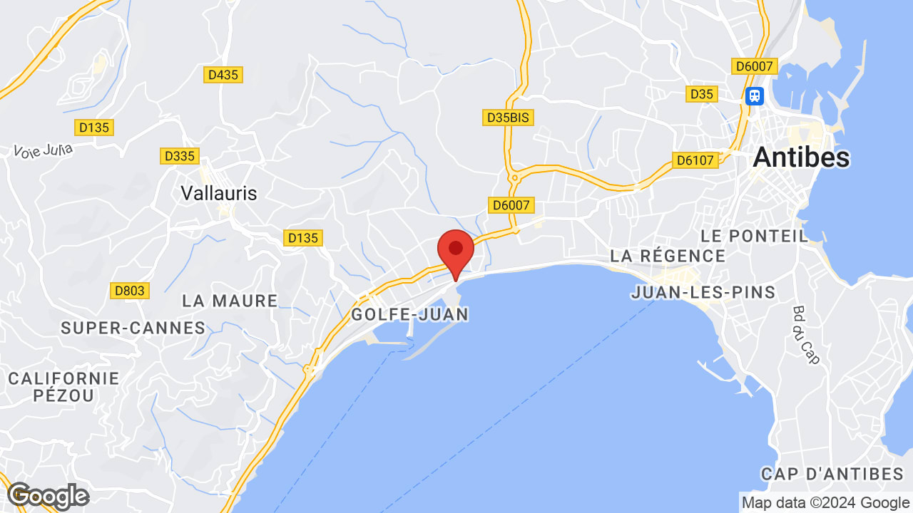 Google map