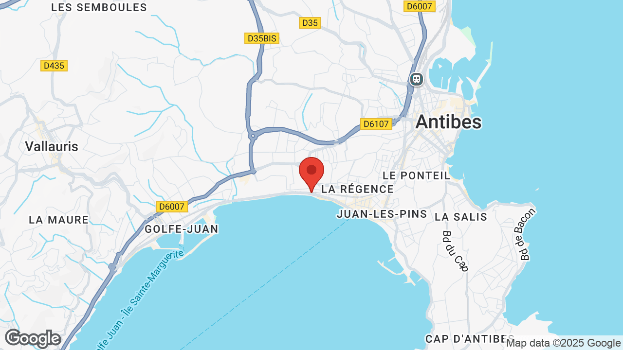 Google map
