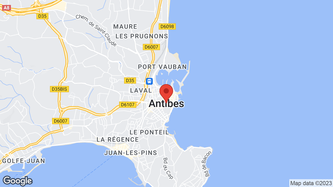 Google map