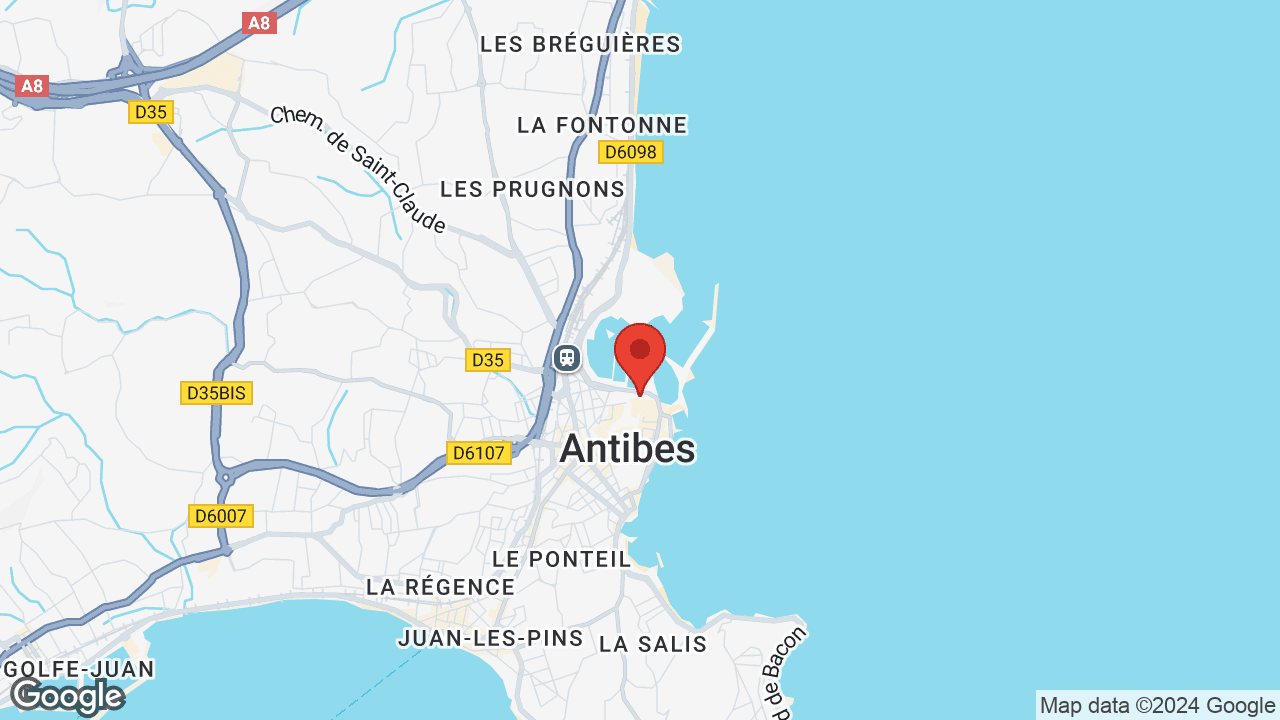 Google map