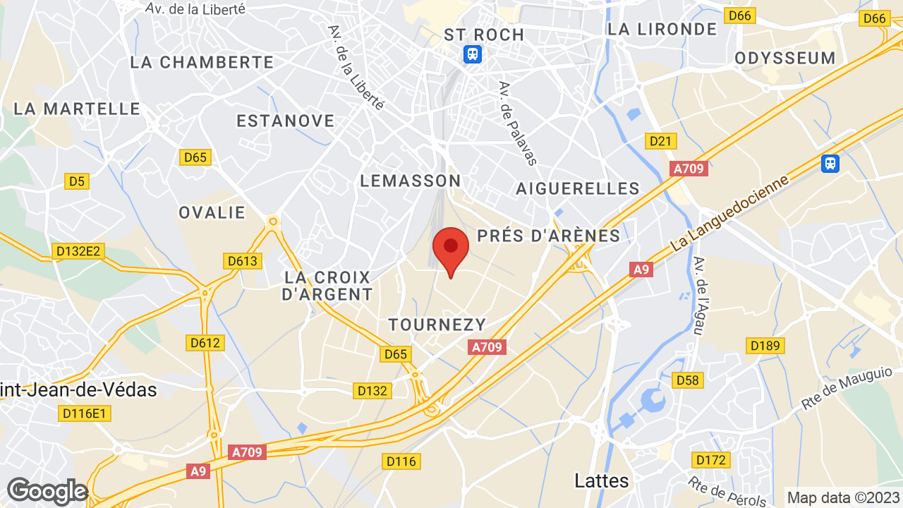 Google map