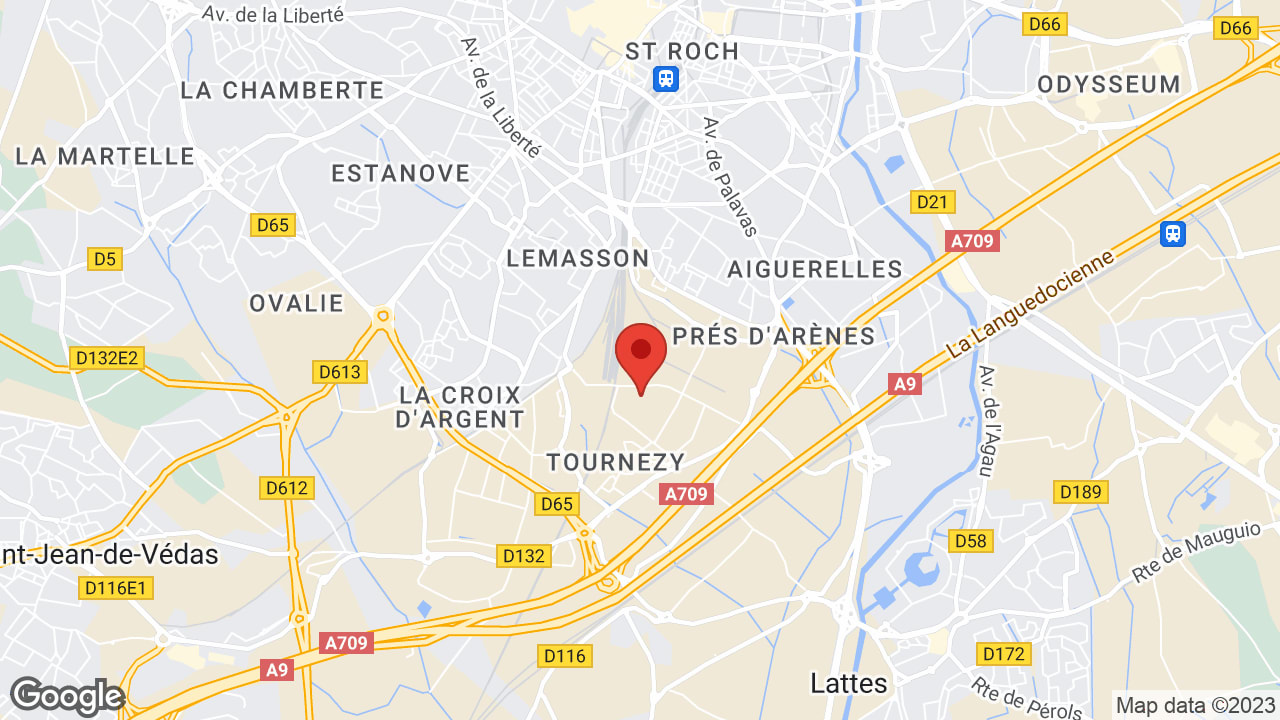 Google map