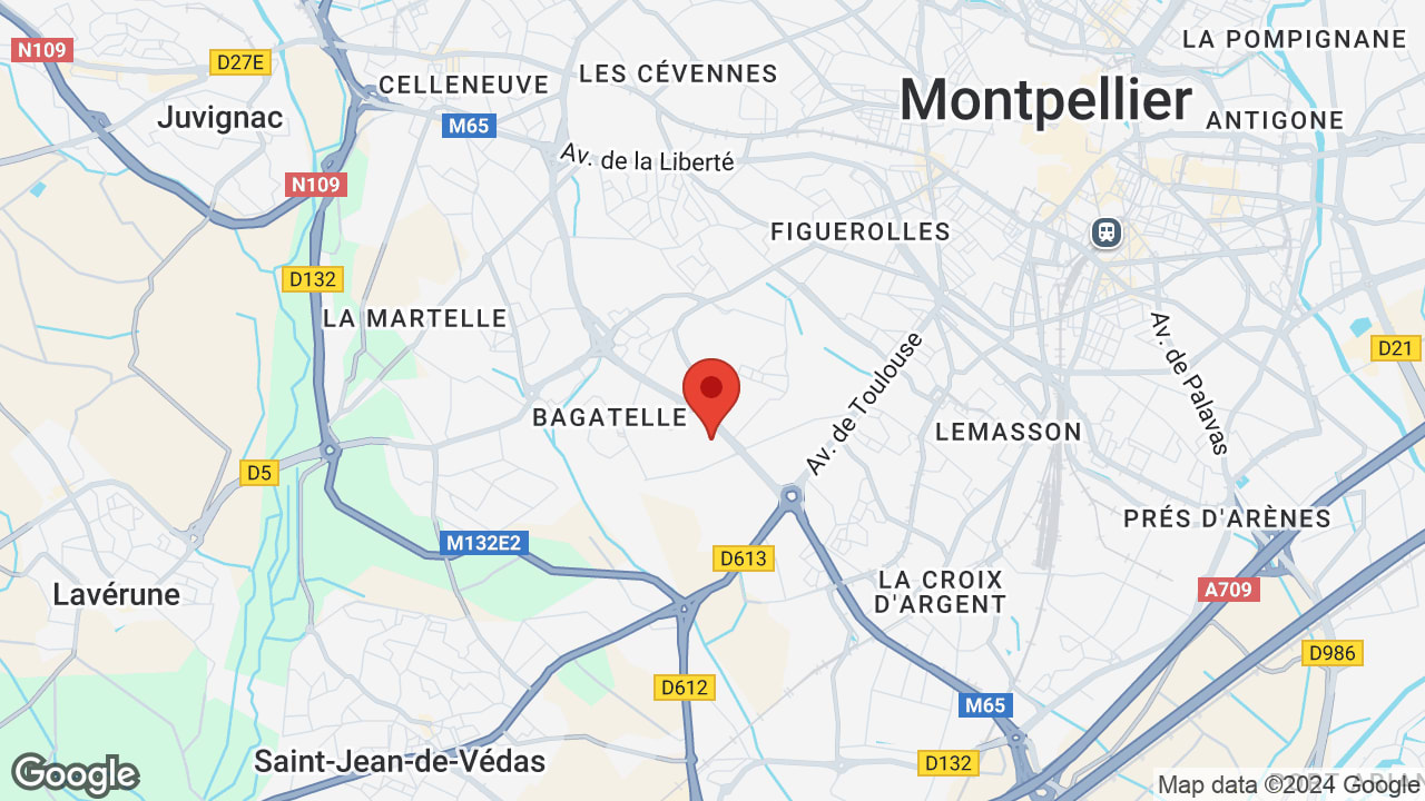 Google map