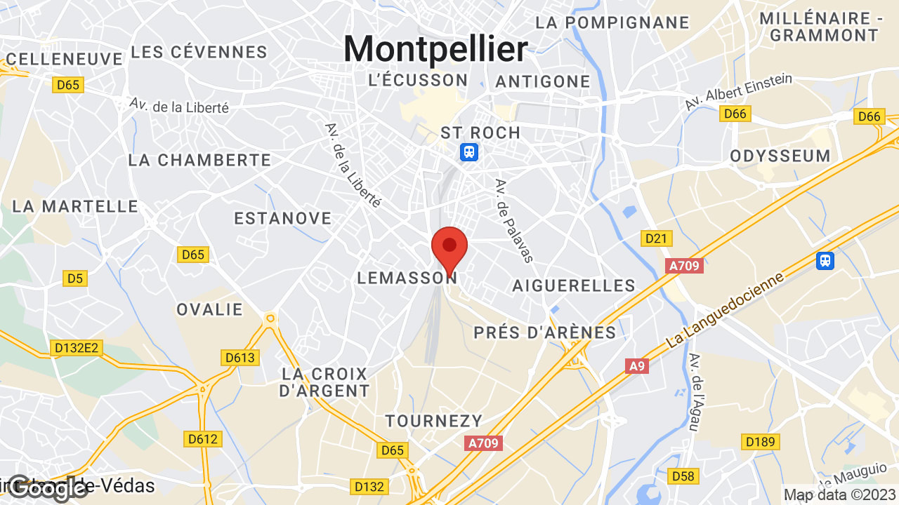 Google map