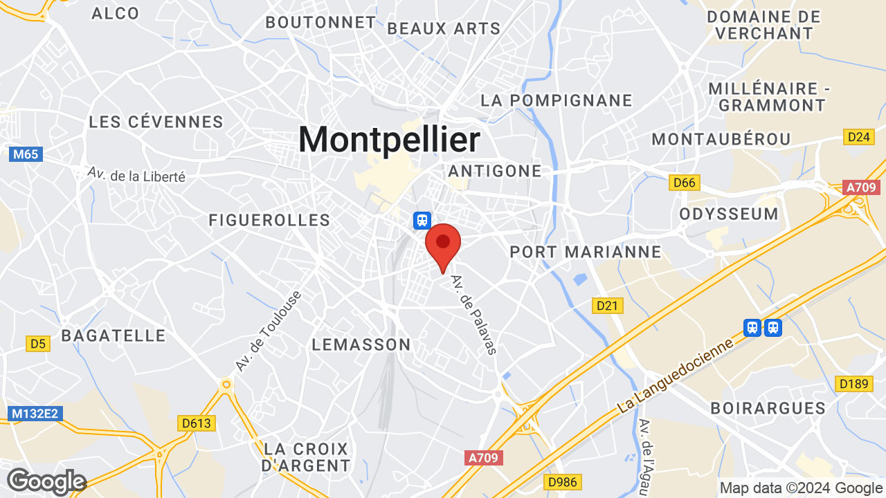 Google map