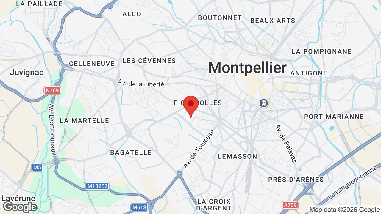 Google map