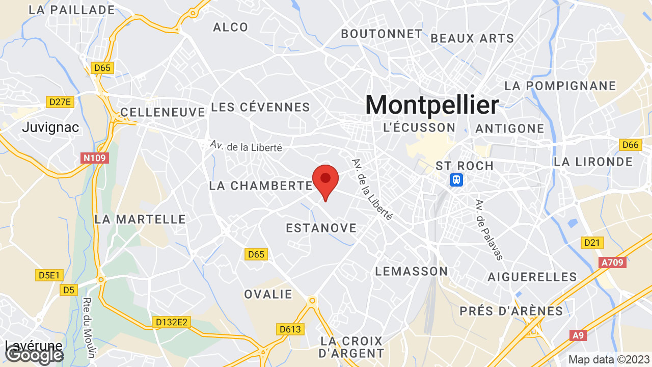 Google map