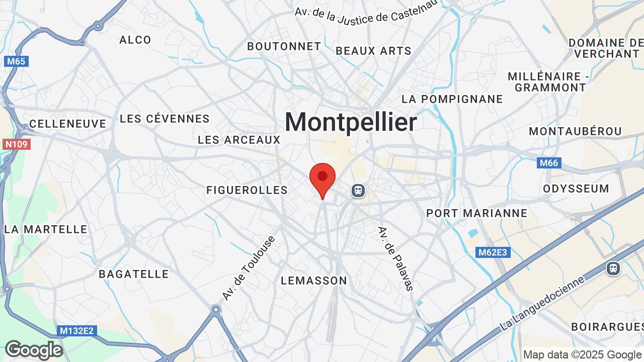 Google map