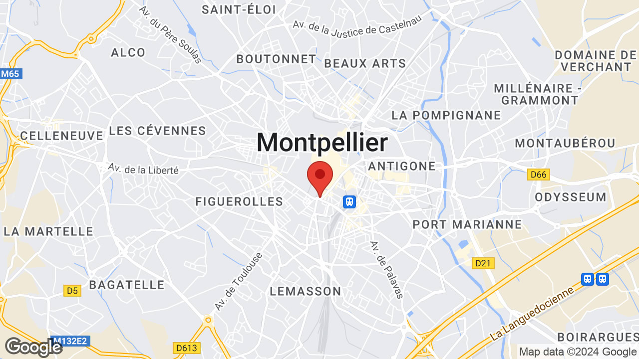 Google map
