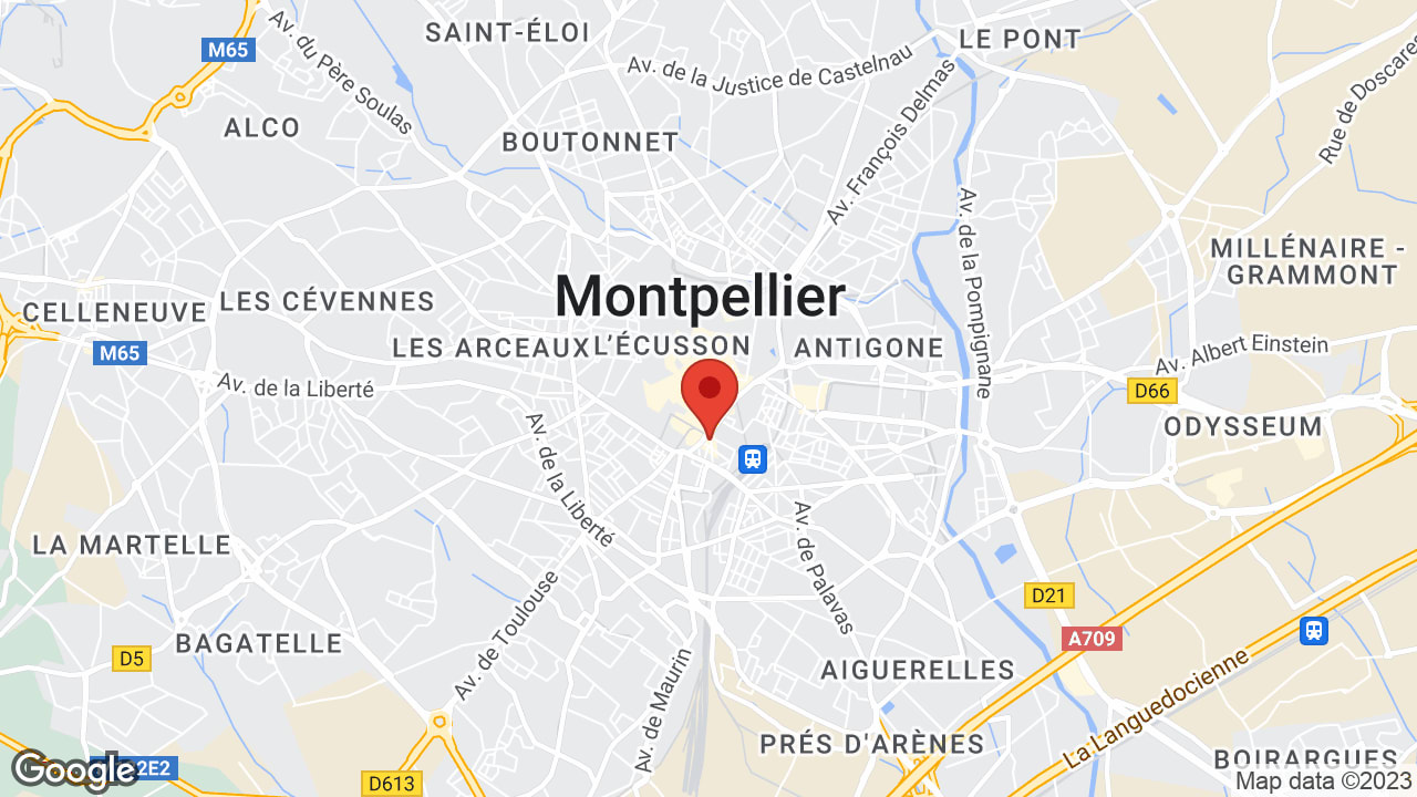Google map
