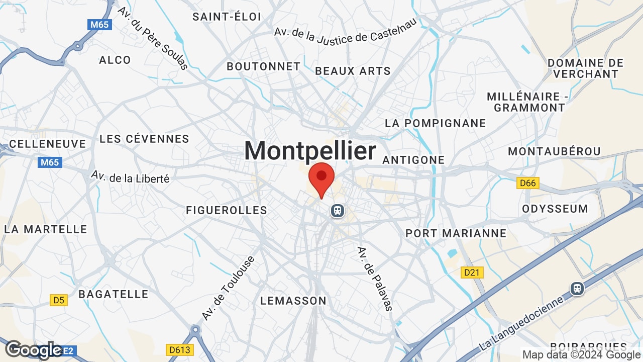Google map