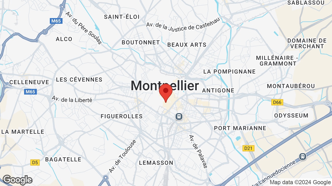 Google map