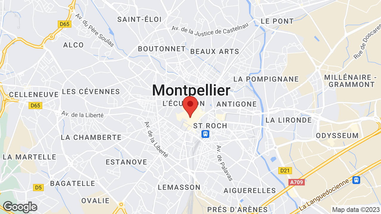 Google map