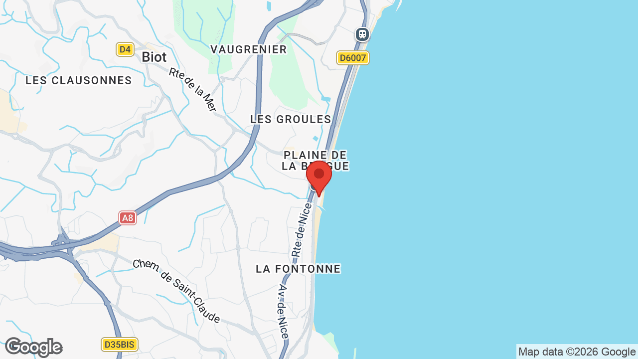 Google map