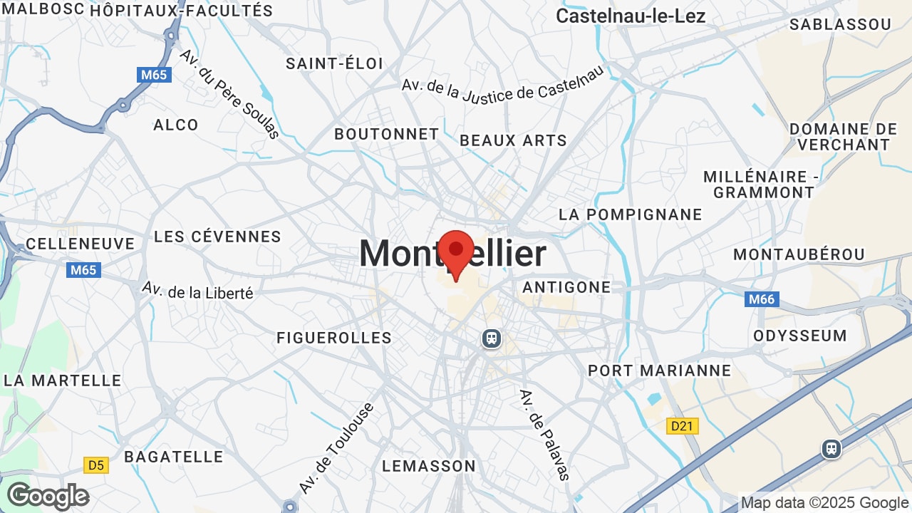 Google map