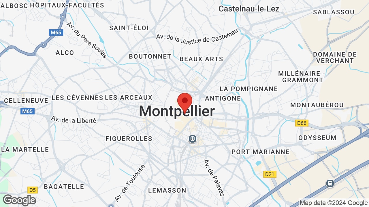 Google map