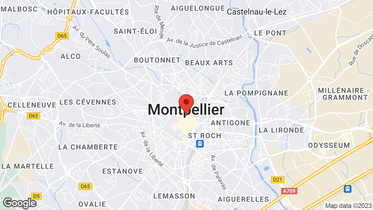 Google map