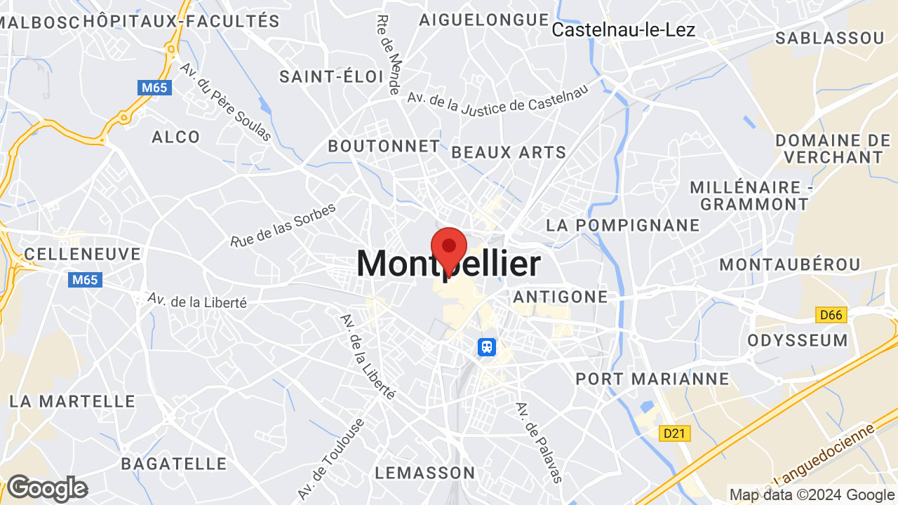 Google map