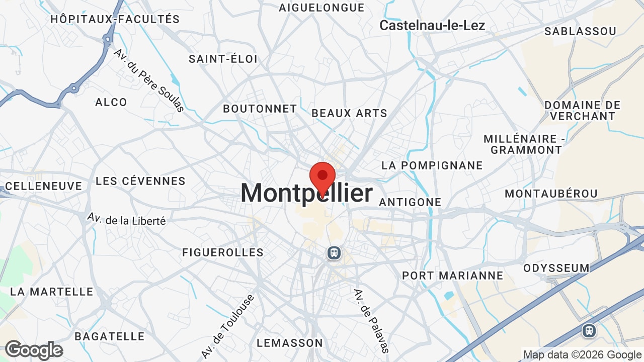 Google map