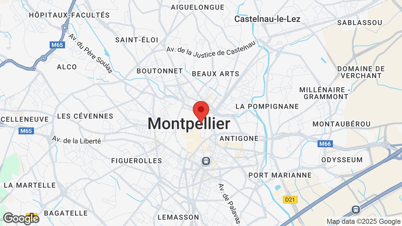 Google map