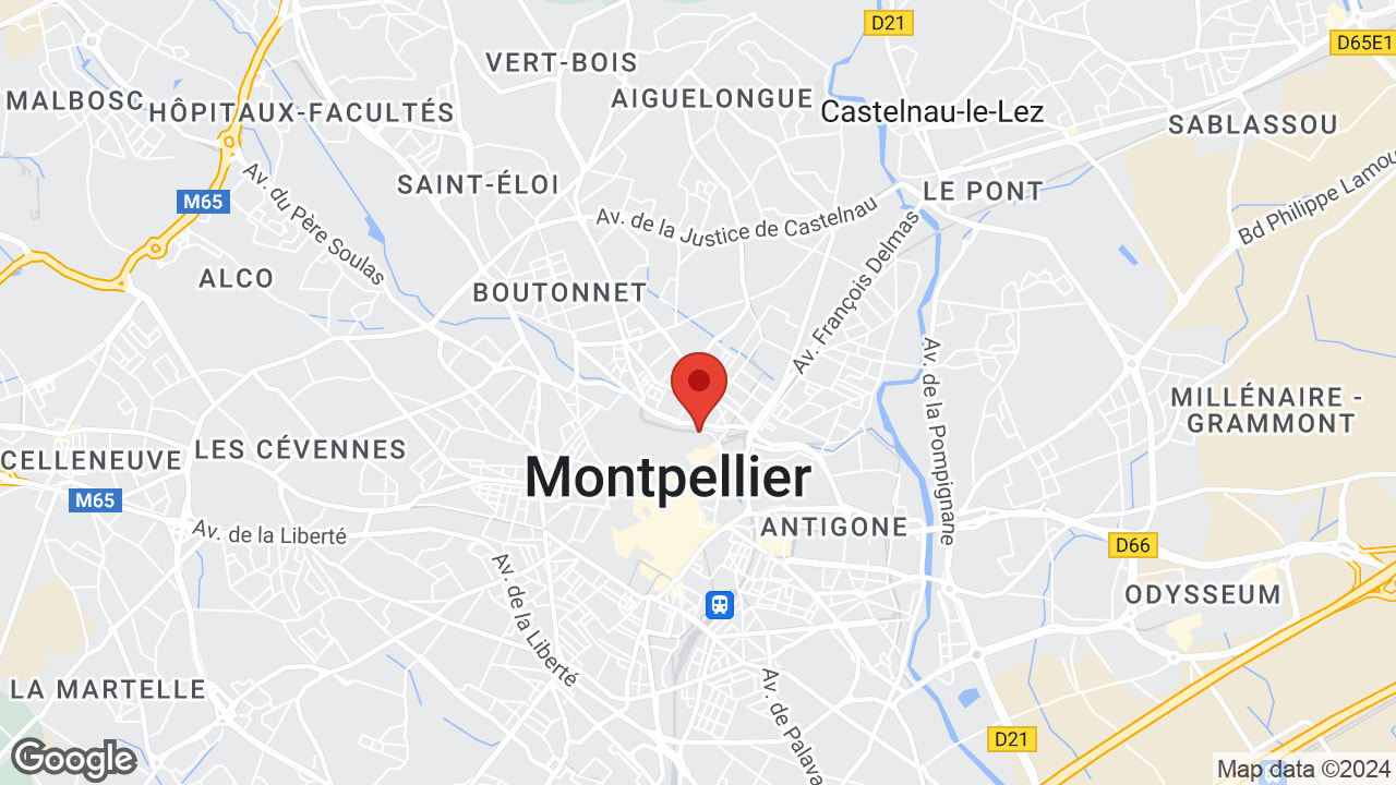 Google map