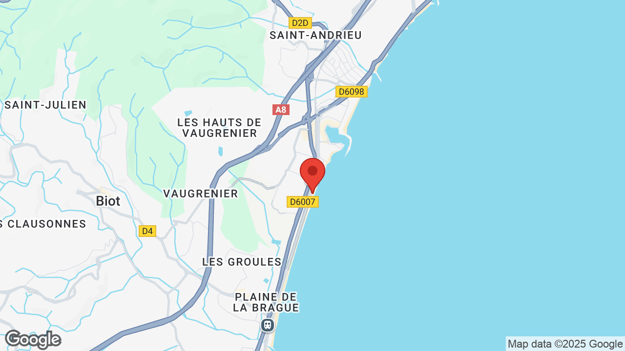 Google map