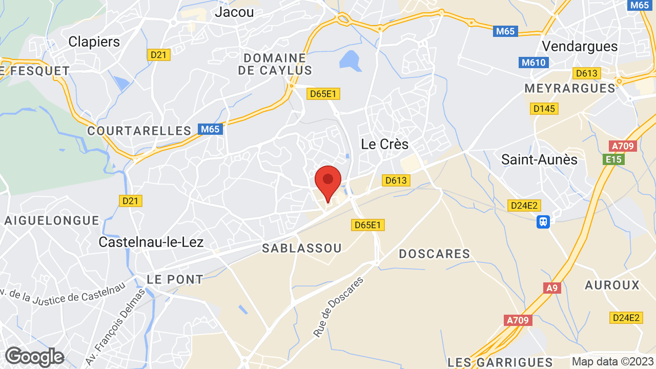Google map