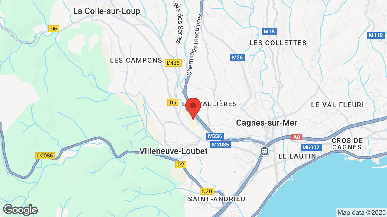 Google map