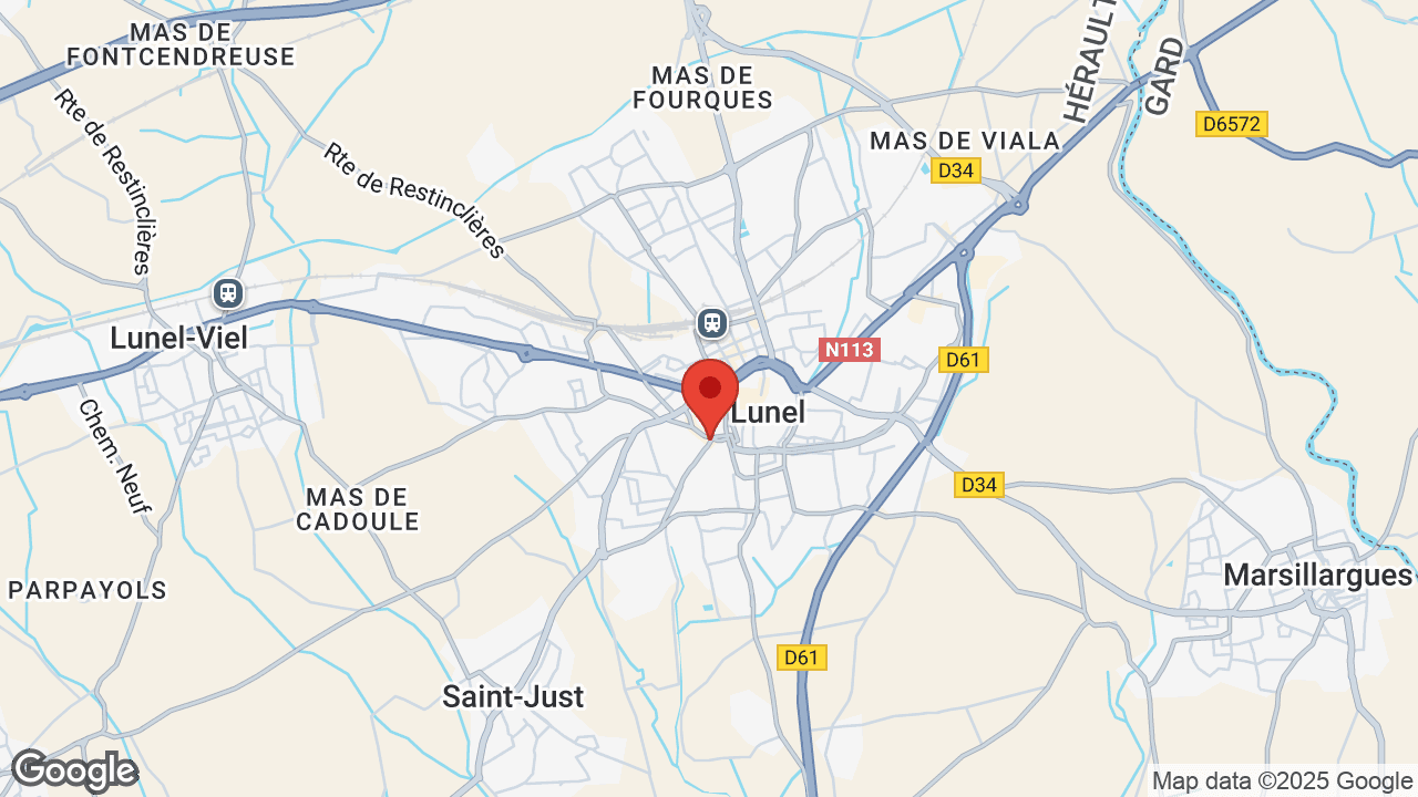 Google map