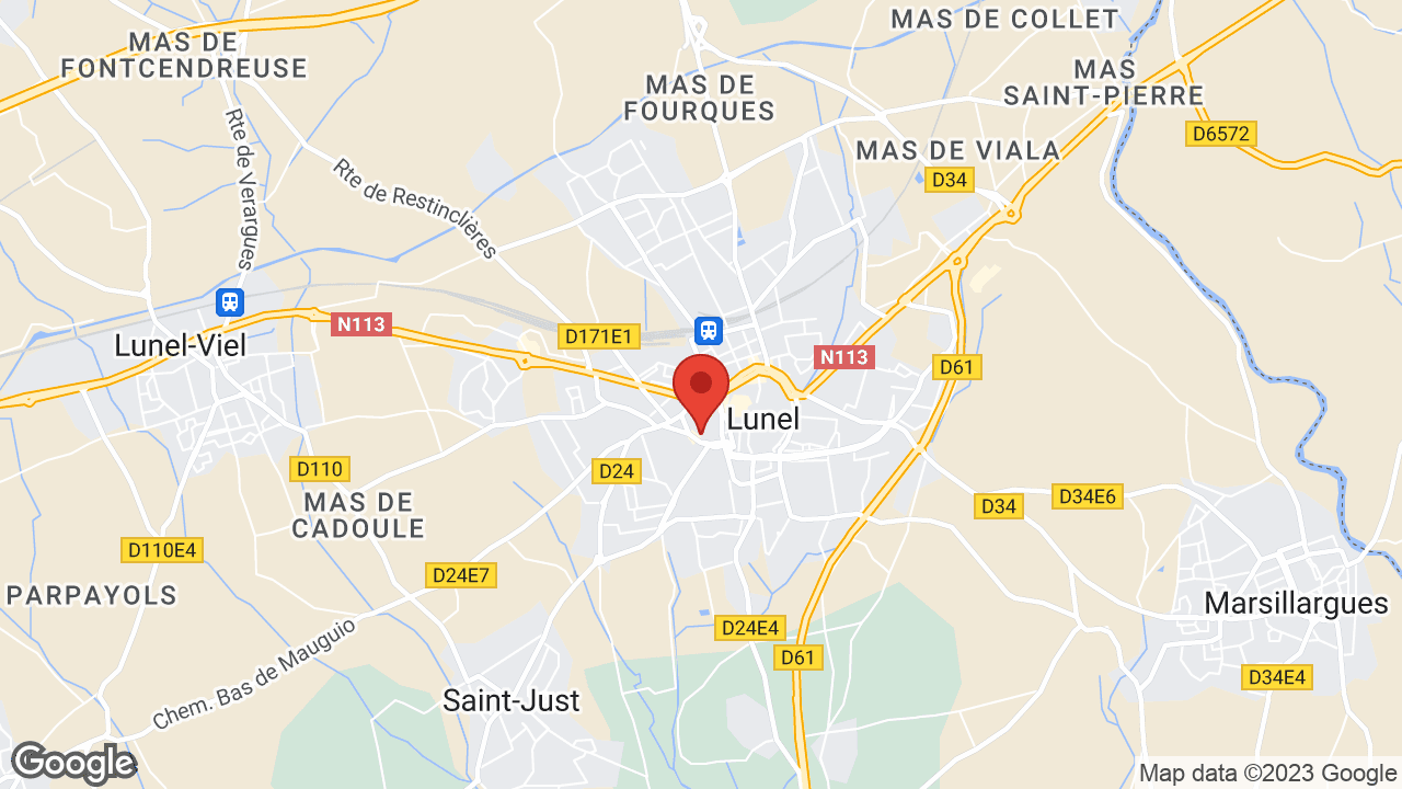 Google map